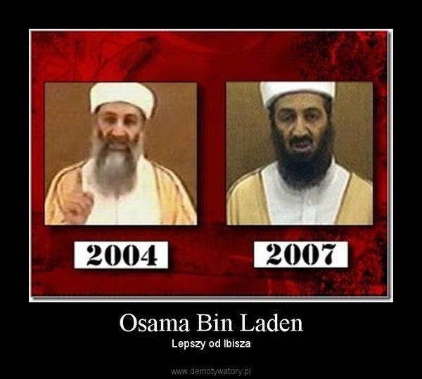 Osama Bin Laden – Lepszy od Ibisza 