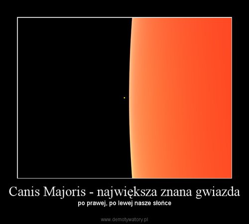 Canis Majoris - największa znana gwiazda