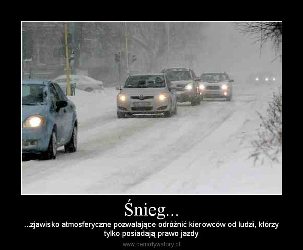 Śnieg... – ...zjawisko atmosferyczne pozwalające odróżnić kierowców od ludzi, którzytylko posiadają prawo jazdy 