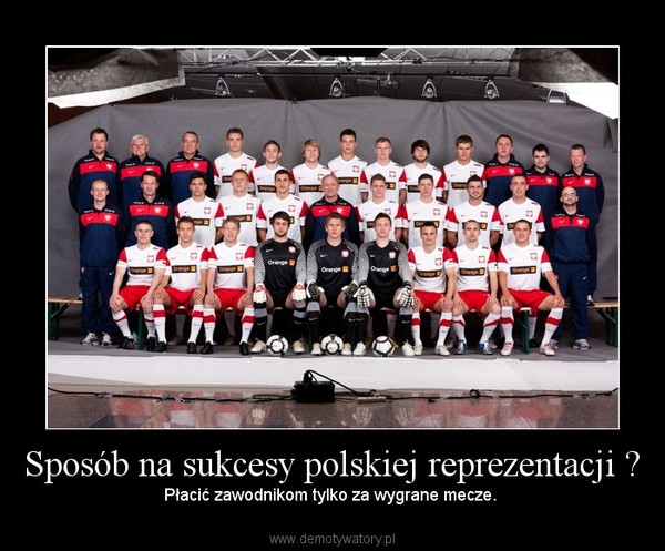 Sposób na sukcesy polskiej reprezentacji ?
