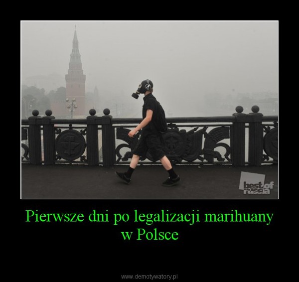 Pierwsze dni po legalizacji marihuany w Polsce