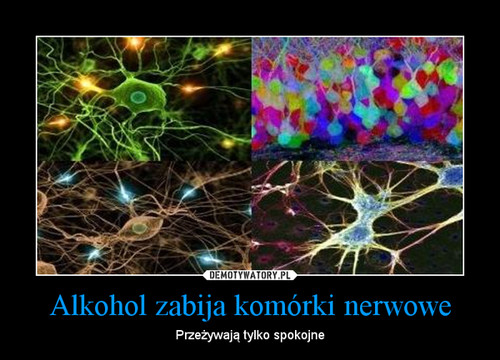 Alkohol zabija komórki nerwowe