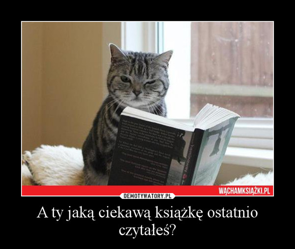 A ty jaką ciekawą książkę ostatnio czytałeś? –  