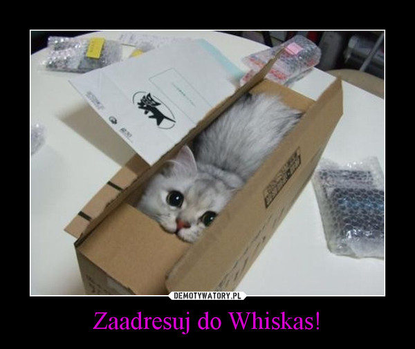 Zaadresuj do Whiskas! –  