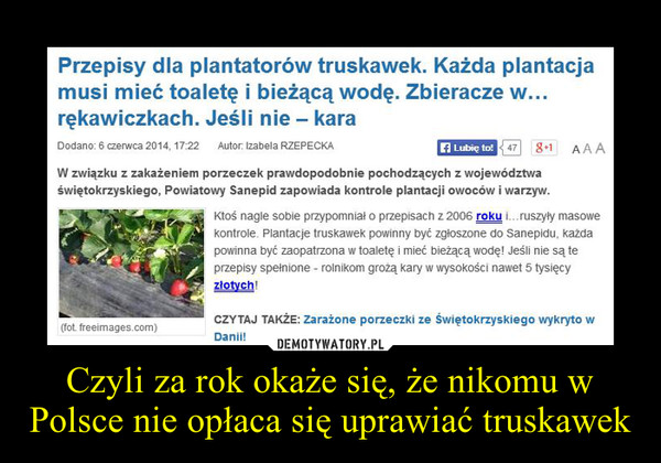 Czyli za rok okaże się, że nikomu w Polsce nie opłaca się uprawiać truskawek –  