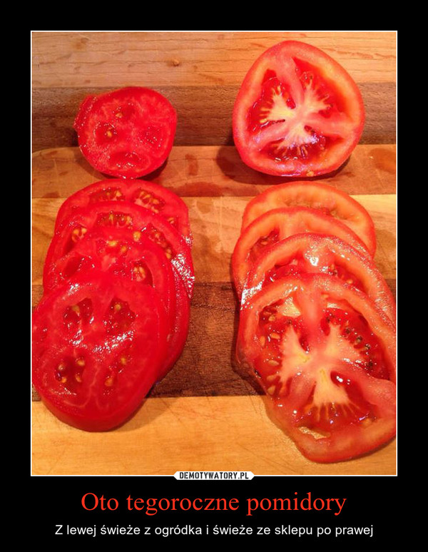 Oto tegoroczne pomidory – Z lewej świeże z ogródka i świeże ze sklepu po prawej 