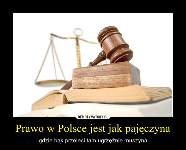 Prawo w Polsce jest jak pajęczyna – gdzie bąk przeleci tam ugrzęźnie muszyna 