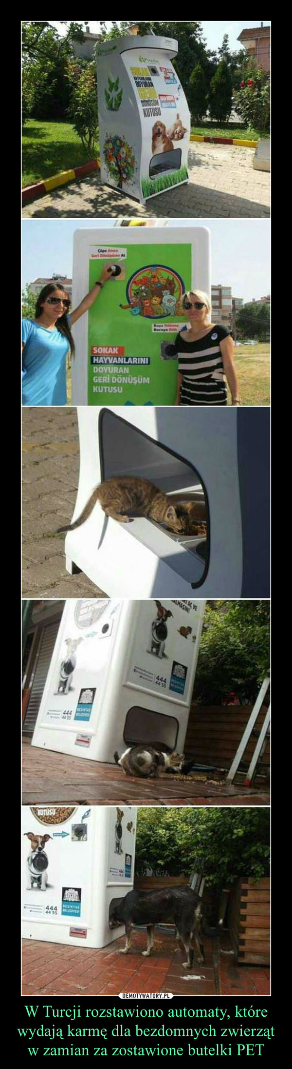 W Turcji rozstawiono automaty, które wydają karmę dla bezdomnych zwierząt w zamian za zostawione butelki PET –  