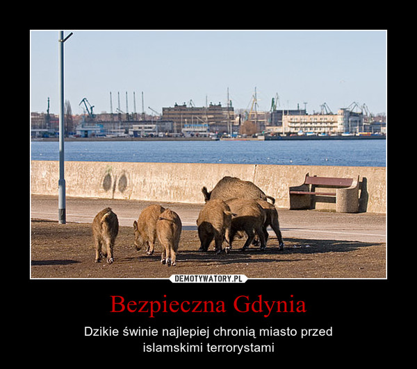 Bezpieczna Gdynia