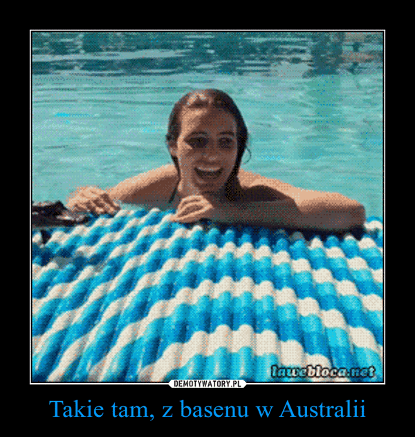 Takie tam, z basenu w Australii –  