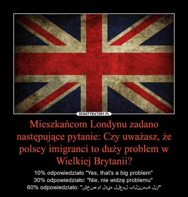 Mieszkańcom Londynu zadano następujące pytanie: Czy uważasz, że polscy imigranci to duży problem w Wielkiej Brytanii? – 10% odpowiedziało "Yes, that's a big problem" 30% odpowiedziało: "Nie, nie widzę problemu" 60% odpowiedziało: "شخص ما لديه للعمل بالنسبة لنا" 