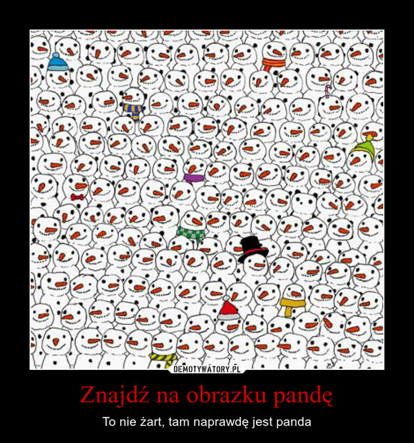 Znajdź na obrazku pandę – To nie żart, tam naprawdę jest panda 