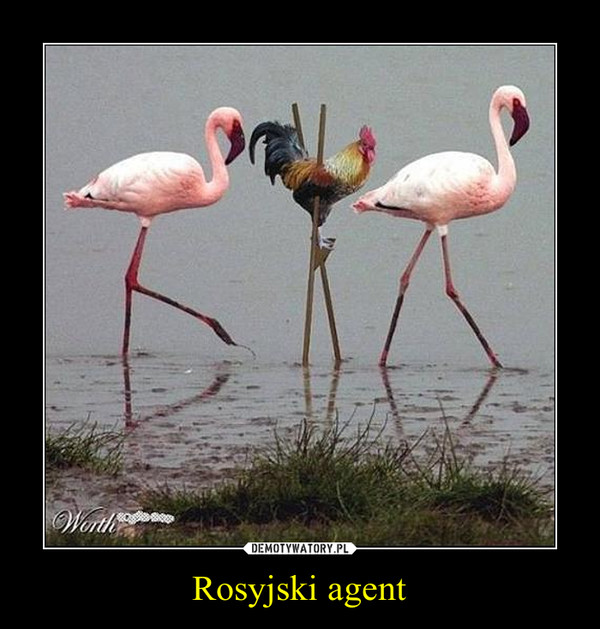 Rosyjski agent –  