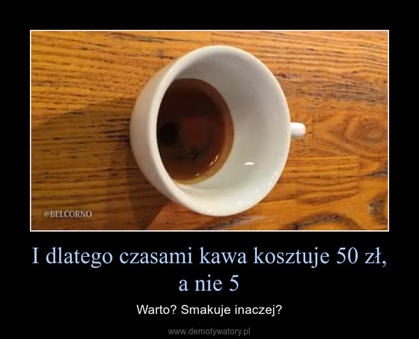 I dlatego czasami kawa kosztuje 50 zł,a nie 5 – Warto? Smakuje inaczej? 
