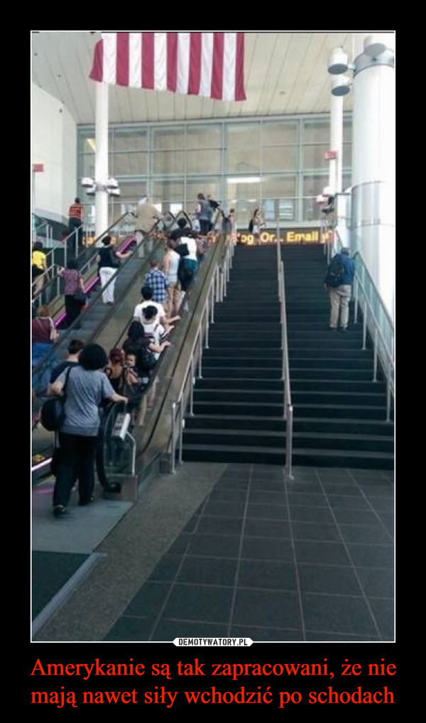 Amerykanie są tak zapracowani, że nie mają nawet siły wchodzić po schodach –  