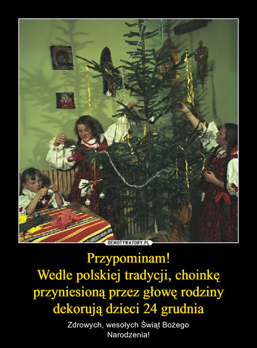 Przypominam!
Wedle polskiej tradycji, choinkę przyniesioną przez głowę rodziny dekorują dzieci 24 grudnia
