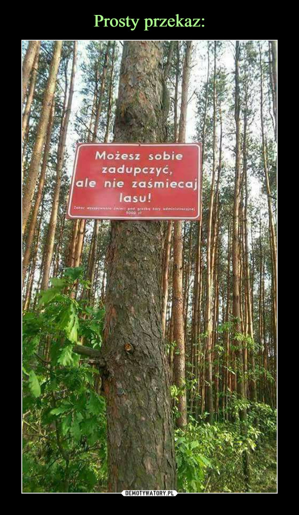  –  Możesz sobie zadupczyć, ale nie zaśmiecaj lasu!