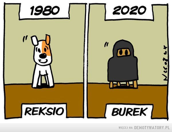 Postęp –  1980 REKSIO2020 BUREK