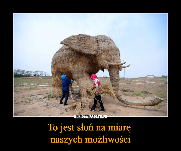 To jest słoń na miarę naszych możliwości –  
