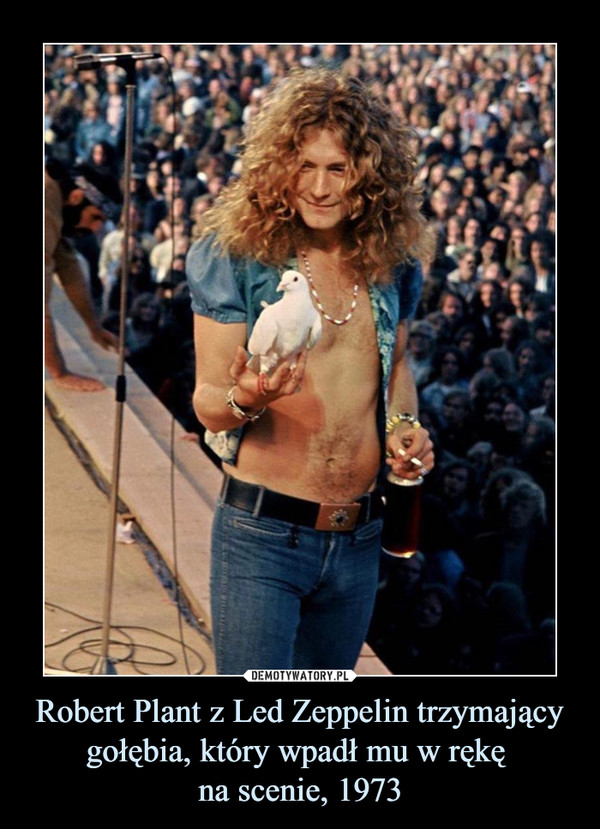 Robert Plant z Led Zeppelin trzymający gołębia, który wpadł mu w rękę na scenie, 1973 –  