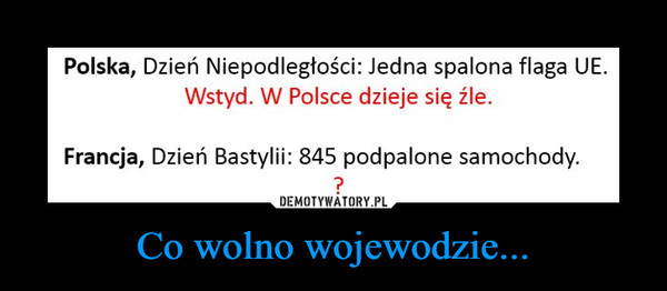 Co wolno wojewodzie... –  Polska, Dzień Niepodległości: Jedna spalona flaga UEWstyd. W Polsce dzieje się źle.Francja, Dzień Bastylii: 845 podpalone samochody.