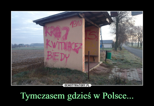 Tymczasem gdzieś w Polsce... –  Kraj kwitnącej biedy