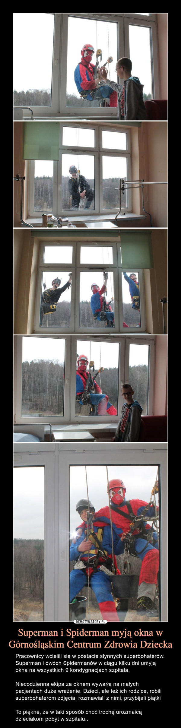 Superman i Spiderman myją okna w Górnośląskim Centrum Zdrowia Dziecka – Pracownicy wcielili się w postacie słynnych superbohaterów. Superman i dwóch Spidermanów w ciągu kilku dni umyją okna na wszystkich 9 kondygnacjach szpitala.Niecodzienna ekipa za oknem wywarła na małych pacjentach duże wrażenie. Dzieci, ale też ich rodzice, robili superbohaterom zdjęcia, rozmawiali z nimi, przybijali piątkiTo piękne, że w taki sposób choć trochę urozmaicą  dzieciakom pobyt w szpitalu... 