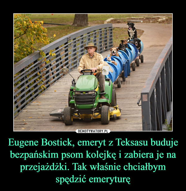 Eugene Bostick, emeryt z Teksasu buduje bezpańskim psom kolejkę i zabiera je na przejażdżki. Tak właśnie chciałbym spędzić emeryturę –  