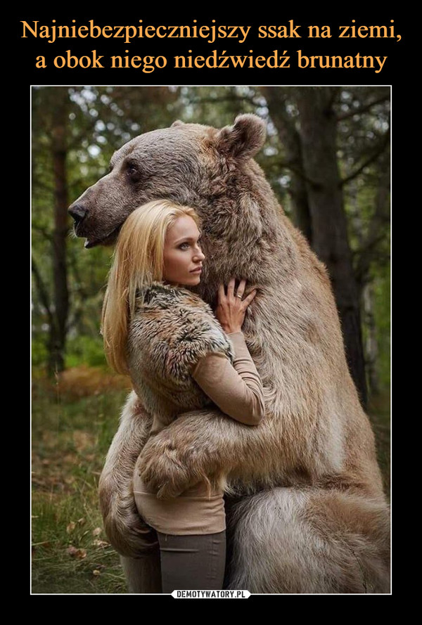 Najniebezpieczniejszy ssak na ziemi, a obok niego niedźwiedź brunatny