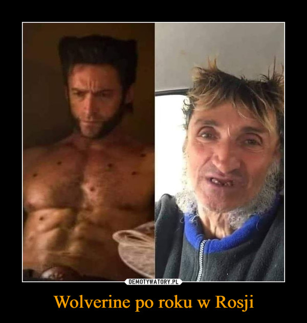 Wolverine po roku w Rosji –  