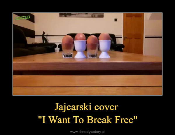 Jajcarski cover "I Want To Break Free" –  