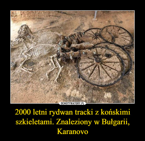 2000 letni rydwan tracki z końskimi szkieletami. Znaleziony w Bułgarii, Karanovo