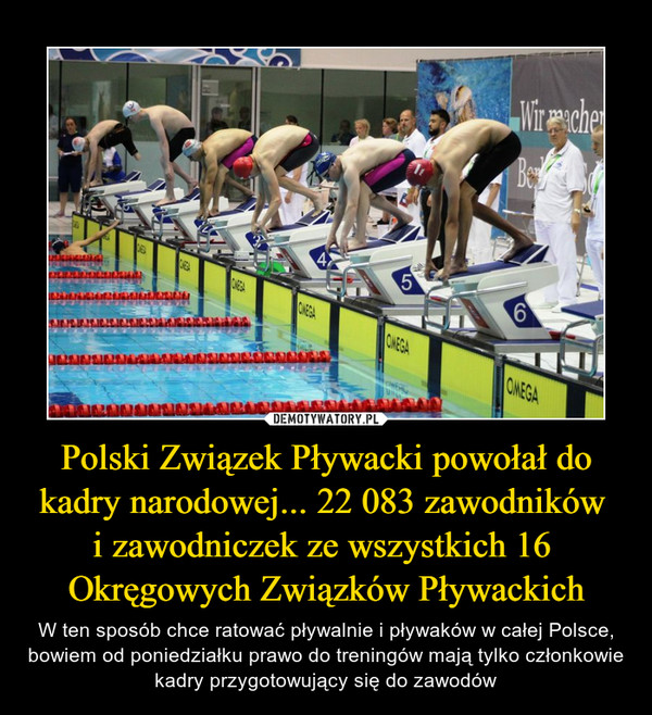 Polski Związek Pływacki powołał do kadry narodowej... 22 083 zawodników 
i zawodniczek ze wszystkich 16 
Okręgowych Związków Pływackich