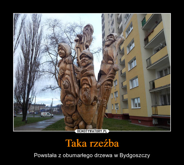 Taka rzeźba – Powstała z obumarłego drzewa w Bydgoszczy 
