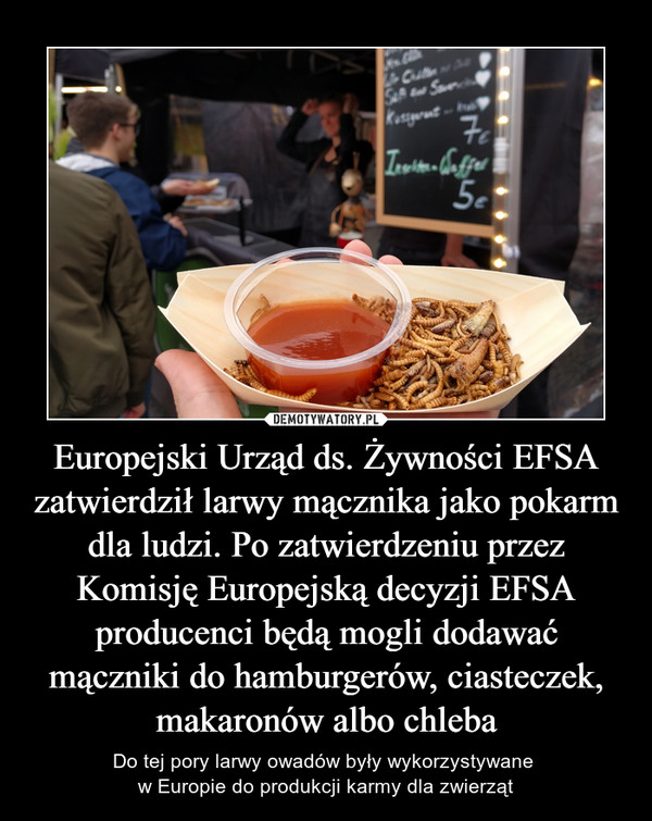 Europejski Urząd ds. Żywności EFSA zatwierdził larwy mącznika jako pokarm dla ludzi. Po zatwierdzeniu przez Komisję Europejską decyzji EFSA producenci będą mogli dodawać mączniki do hamburgerów, ciasteczek, makaronów albo chleba