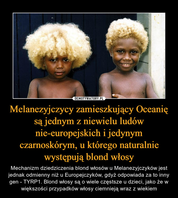 Melanezyjczycy zamieszkujący Oceanię są jednym z niewielu ludów nie-europejskich i jedynym czarnoskórym, u którego naturalnie występują blond włosy – Mechanizm dziedziczenia blond włosów u Melanezyjczyków jest jednak odmienny niż u Europejczyków, gdyż odpowiada za to inny gen - TYRP1. Blond włosy są o wiele częstsze u dzieci, jako że w większości przypadków włosy ciemnieją wraz z wiekiem 
