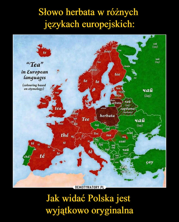 Słowo herbata w różnych 
językach europejskich: Jak widać Polska jest 
wyjątkowo oryginalna