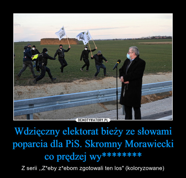 Wdzięczny elektorat bieży ze słowami poparcia dla PiS. Skromny Morawiecki co prędzej wy******** – Z serii ,,Z*eby z*ebom zgotowali ten los" (koloryzowane) 