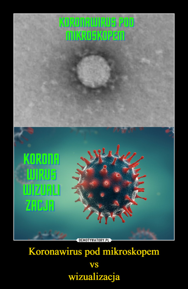 Koronawirus pod mikroskopemvswizualizacja –  