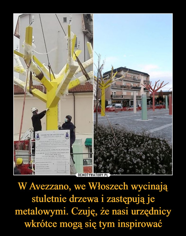 W Avezzano, we Włoszech wycinają stuletnie drzewa i zastępują je metalowymi. Czuję, że nasi urzędnicy wkrótce mogą się tym inspirować –  