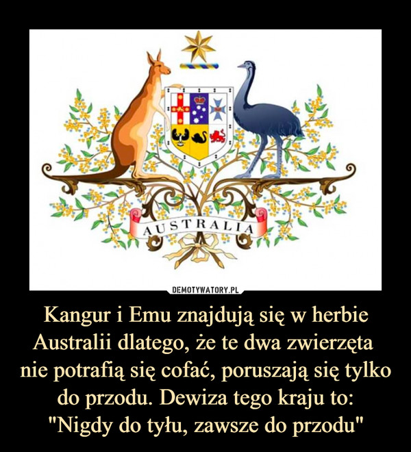 Kangur i Emu znajdują się w herbie Australii dlatego, że te dwa zwierzęta 
nie potrafią się cofać, poruszają się tylko
do przodu. Dewiza tego kraju to:
"Nigdy do tyłu, zawsze do przodu"