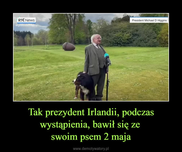 Tak prezydent Irlandii, podczas wystąpienia, bawił się ze swoim psem 2 maja –  