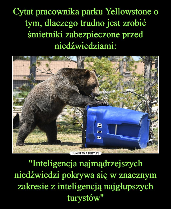 "Inteligencja najmądrzejszych niedźwiedzi pokrywa się w znacznym zakresie z inteligencją najgłupszych turystów" –  