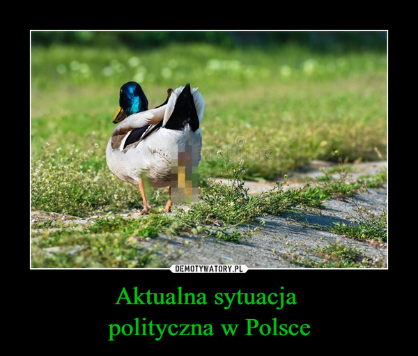 Aktualna sytuacja 
polityczna w Polsce