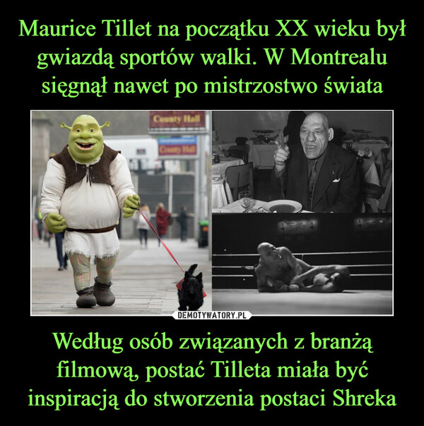 Według osób związanych z branżą filmową, postać Tilleta miała być inspiracją do stworzenia postaci Shreka –  