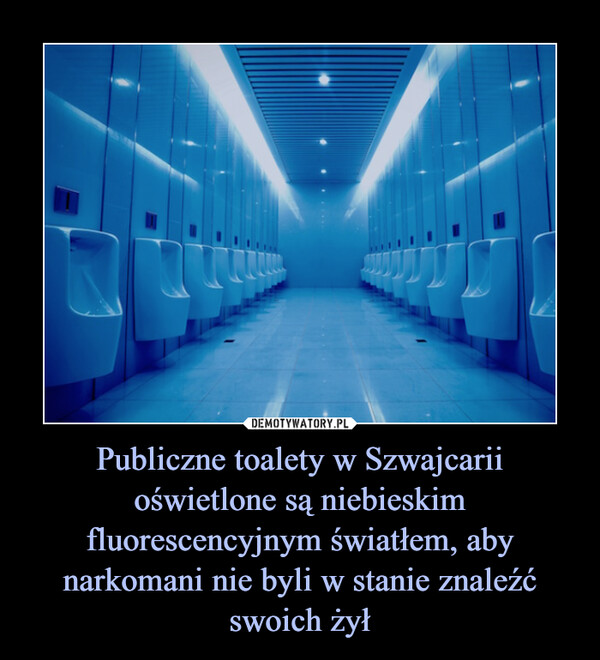 Publiczne toalety w Szwajcarii oświetlone są niebieskim fluorescencyjnym światłem, aby narkomani nie byli w stanie znaleźć swoich żył –  