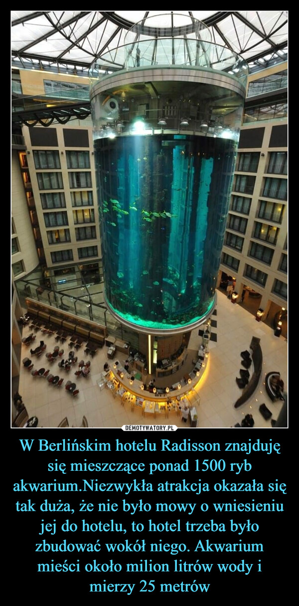W Berlińskim hotelu Radisson znajduję się mieszczące ponad 1500 ryb akwarium.Niezwykła atrakcja okazała się tak duża, że nie było mowy o wniesieniu jej do hotelu, to hotel trzeba było zbudować wokół niego. Akwarium mieści około milion litrów wody i mierzy 25 metrów –  