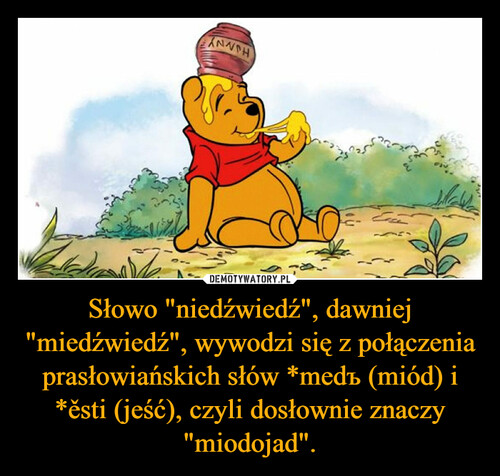 Słowo "niedźwiedź", dawniej "miedźwiedź", wywodzi się z połączenia prasłowiańskich słów *medъ (miód) i *ěsti (jeść), czyli dosłownie znaczy "miodojad".