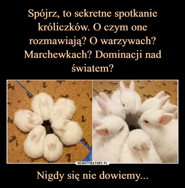 Nigdy się nie dowiemy... –  