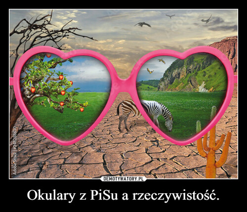 Okulary z PiSu a rzeczywistość.